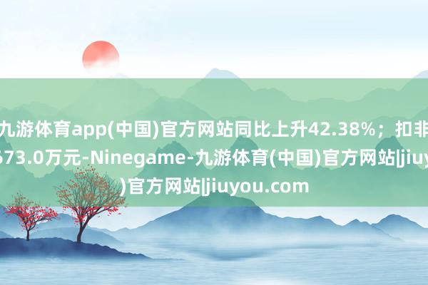 九游体育app(中国)官方网站同比上升42.38%；扣非净利润8673.0万元-Ninegame-九游体育(中国)官方网站|jiuyou.com