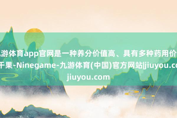 九游体育app官网是一种养分价值高、具有多种药用价值的干果-Ninegame-九游体育(中国)官方网站|jiuyou.com