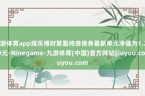 九游体育app娱乐博时聚盈纯债债券最新单元净值为1.2899元-Ninegame-九游体育(中国)官方网站|jiuyou.com