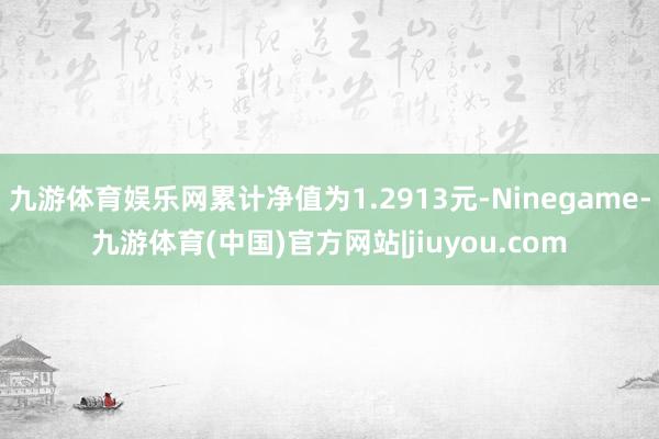 九游体育娱乐网累计净值为1.2913元-Ninegame-九游体育(中国)官方网站|jiuyou.com